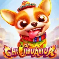 697